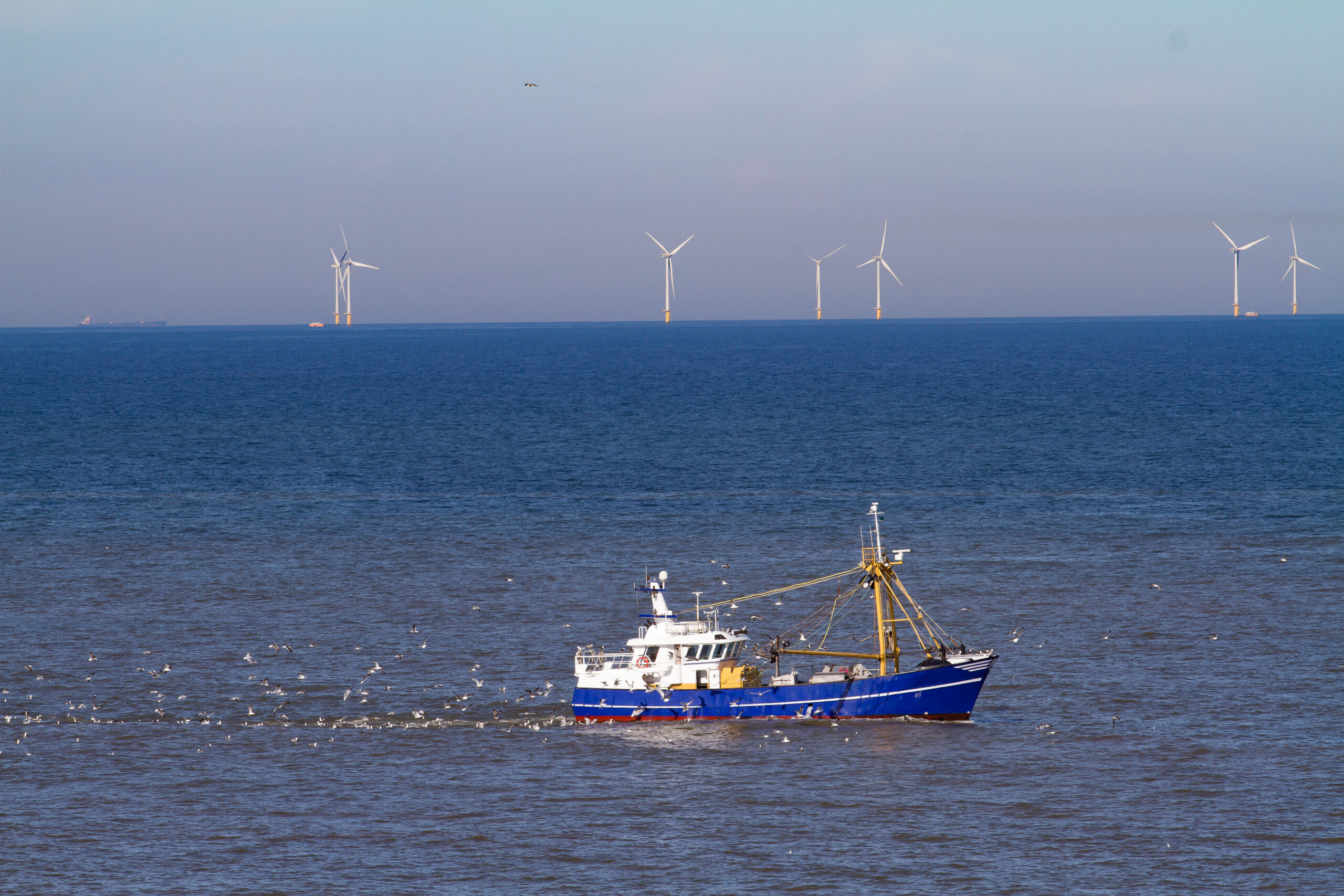 Een blauwwitte vissersboot uitgerust met een iE-150 Marine controller vaart op zee, omringd door meeuwen. In de verte staan verschillende windturbines aan de horizon onder een strakblauwe hemel.